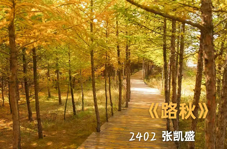 1764292077972774.jpg 图片9.jpg